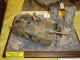 hetzer-1.JPG (107381 bytes)