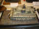 tiger-1.JPG (93309 bytes)